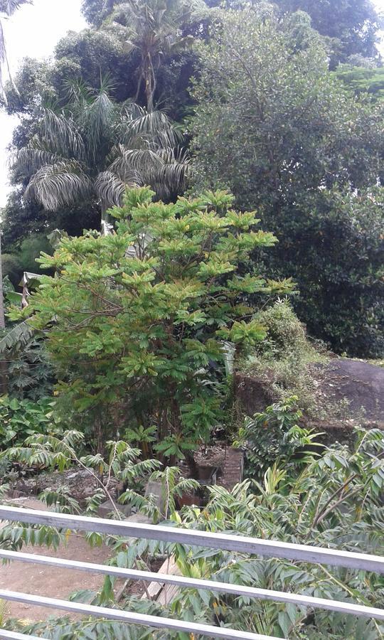 Madu Sentana House Hotel Ubud Exterior foto